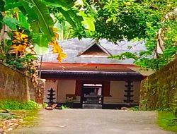 Sree Palakkottu temple